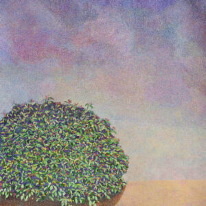 Dreamland